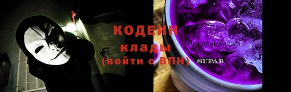 гашик Переславль-Залесский