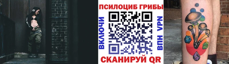 закладки  Бабушкин  Псилоцибиновые грибы Magic Shrooms 